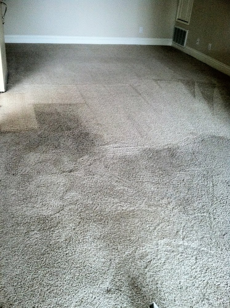 Allergy Relief Carpet Cleaning Service Ontario Dry Carpet Cleaning