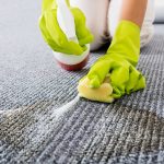 Condominium Upholstery Carpet Cleaning Service Ontario Tile and Grout Cleaners