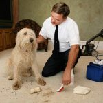 Thorough Carpet Cleaning and Maintenance Is a Necessary Task in Ontario