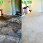 Thorough Carpet Cleaning and Maintenance Is a Necessary Task in Ontario