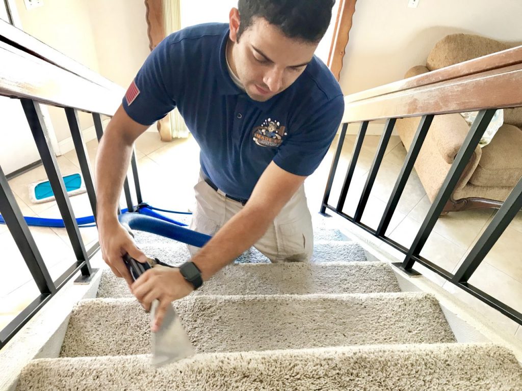 Carpet Cleaning Services in Ontario County